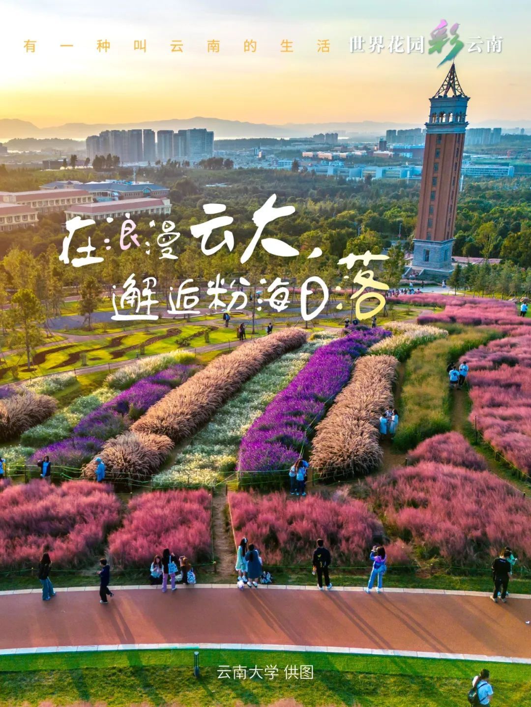 云南省文化和旅游厅