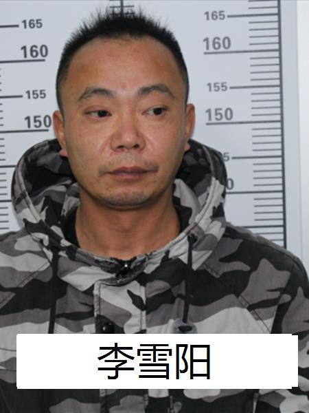 春城晚报