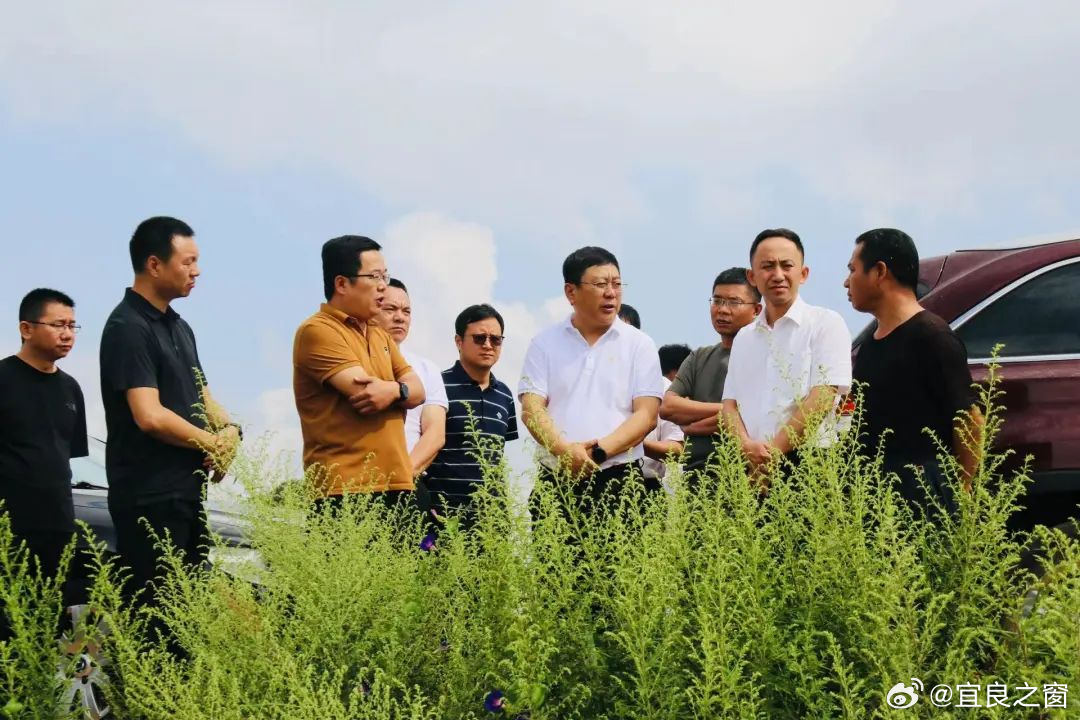 宜良之窗