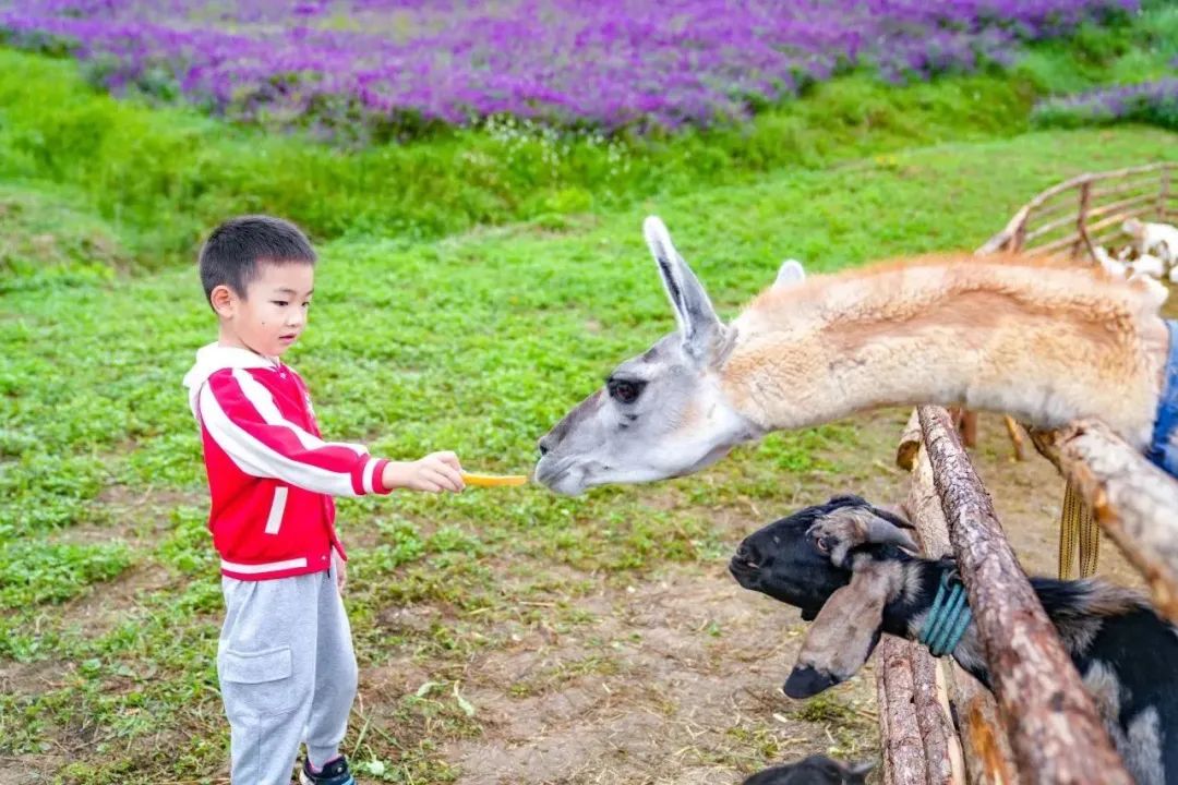 昆明文旅