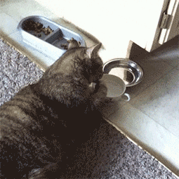 猛喝水可能会越喝越渴 