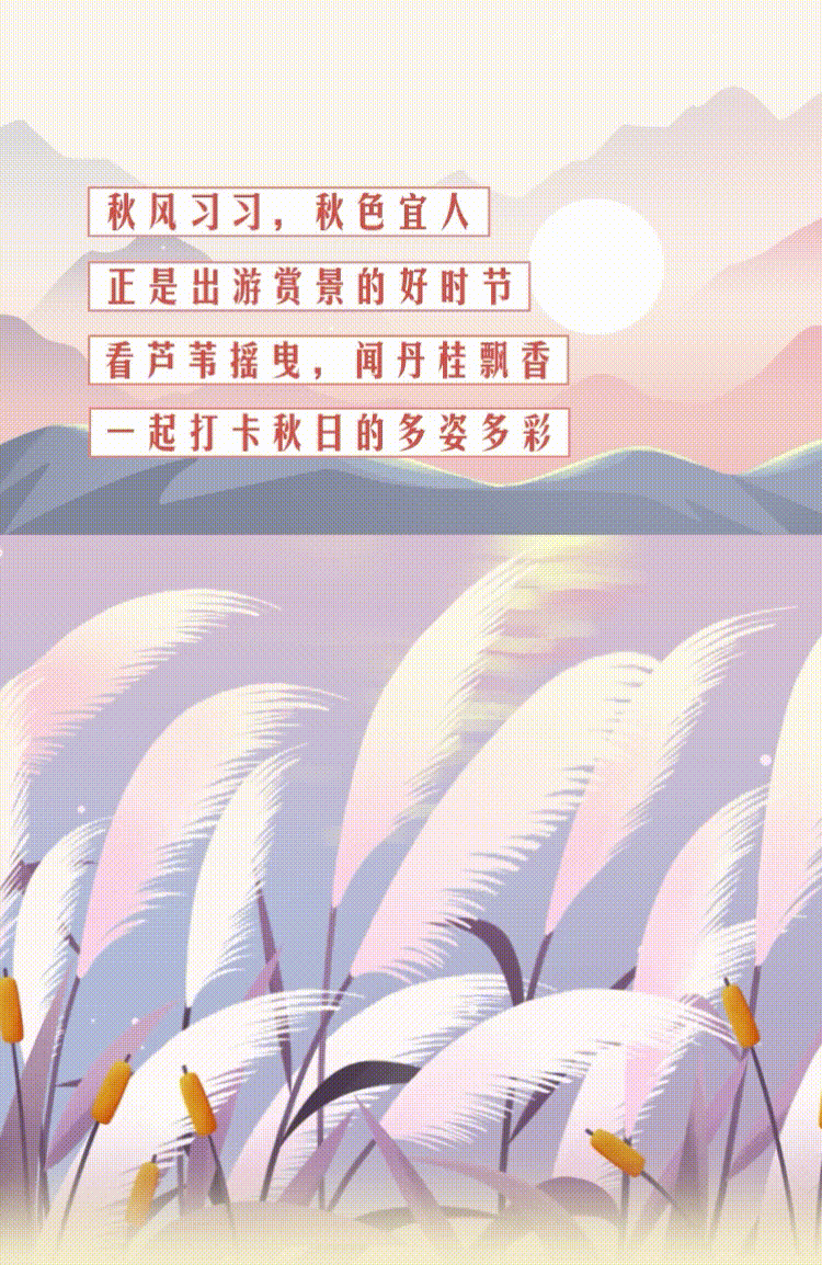 云南省人民政府网