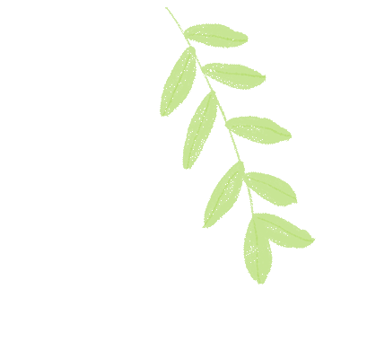盘龙教育