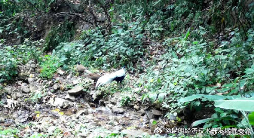 昆明经济技术开发区管委会