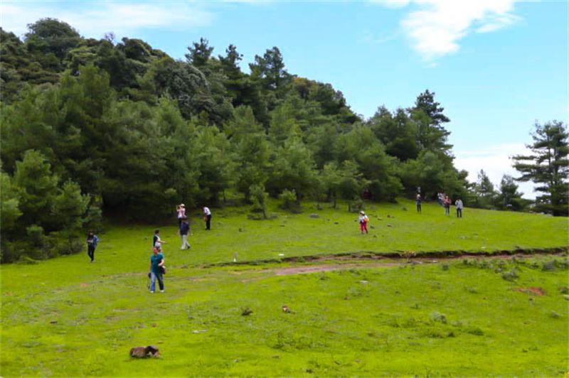 云南省文化和旅游厅