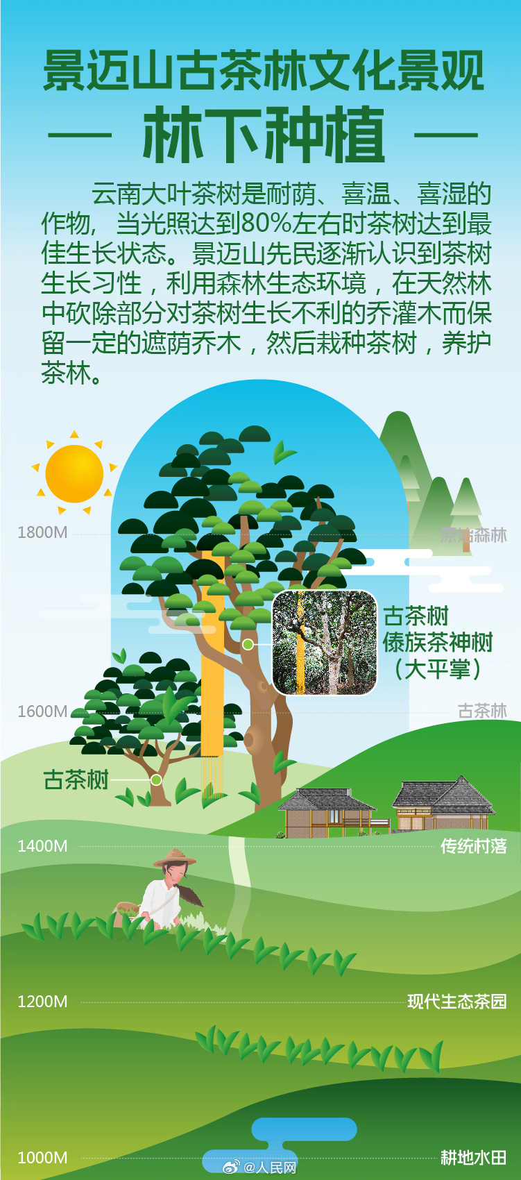 人民网
