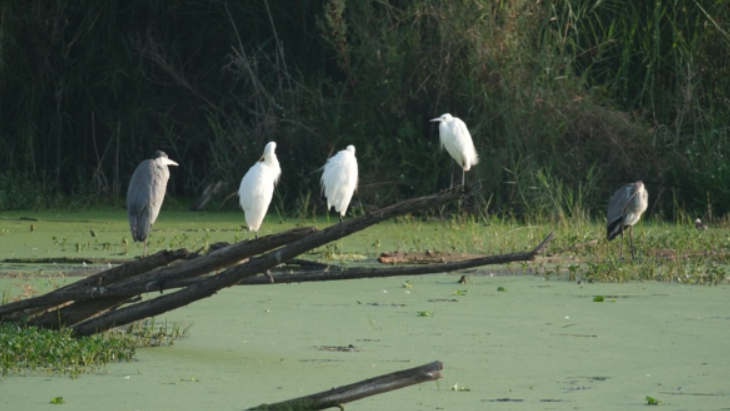晋宁诗意的栖居地