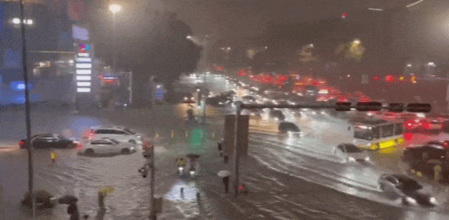 昆明信息港/cnkmxxg