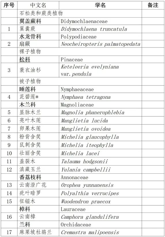 云南省人民政府网