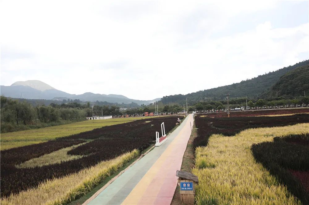 昆明文旅
