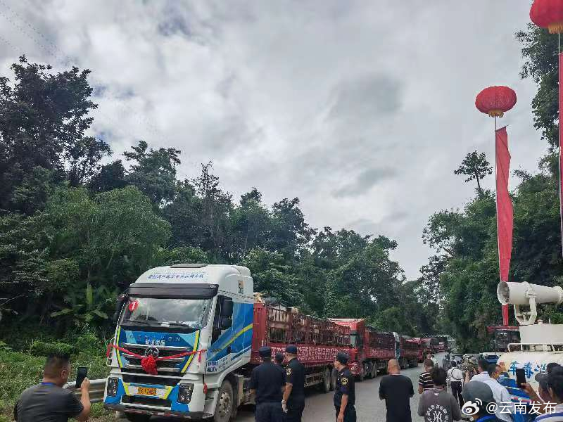 中国恢复进口老挝屠宰用肉牛