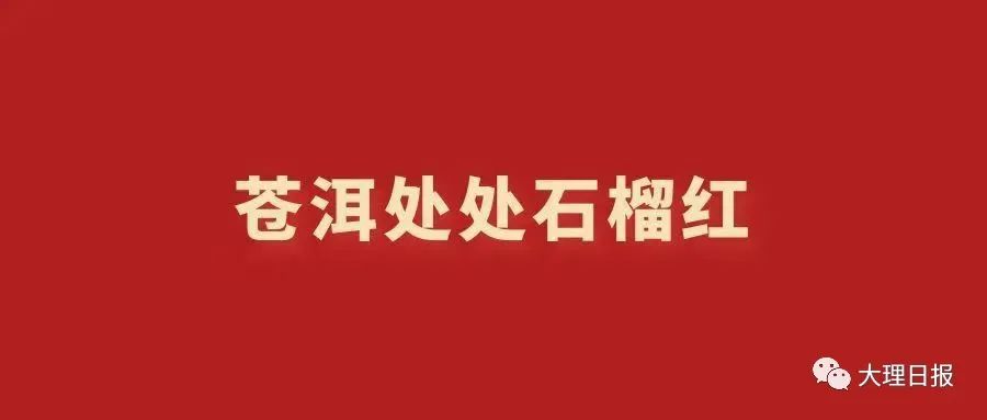 大理日报