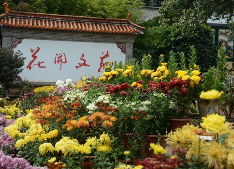 云南省文化和旅游厅