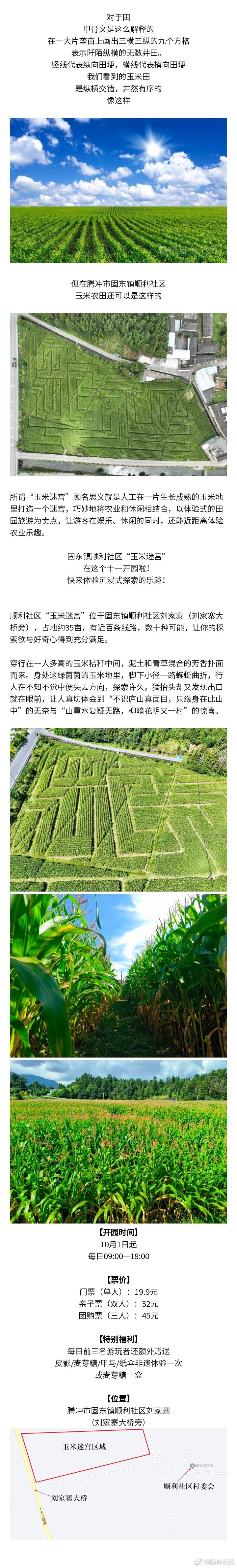 腾冲固东镇首个“玉米迷宫”开园啦！快来体验沉浸式探索的乐趣