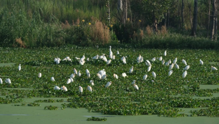晋宁诗意的栖居地