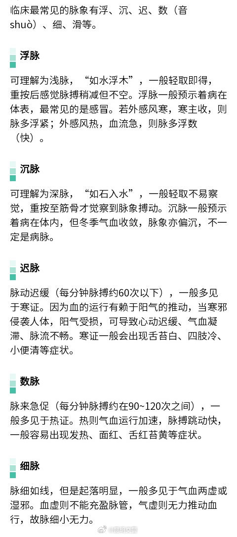 蜀黍每日分享——中医的“把脉”到底是把的什么？