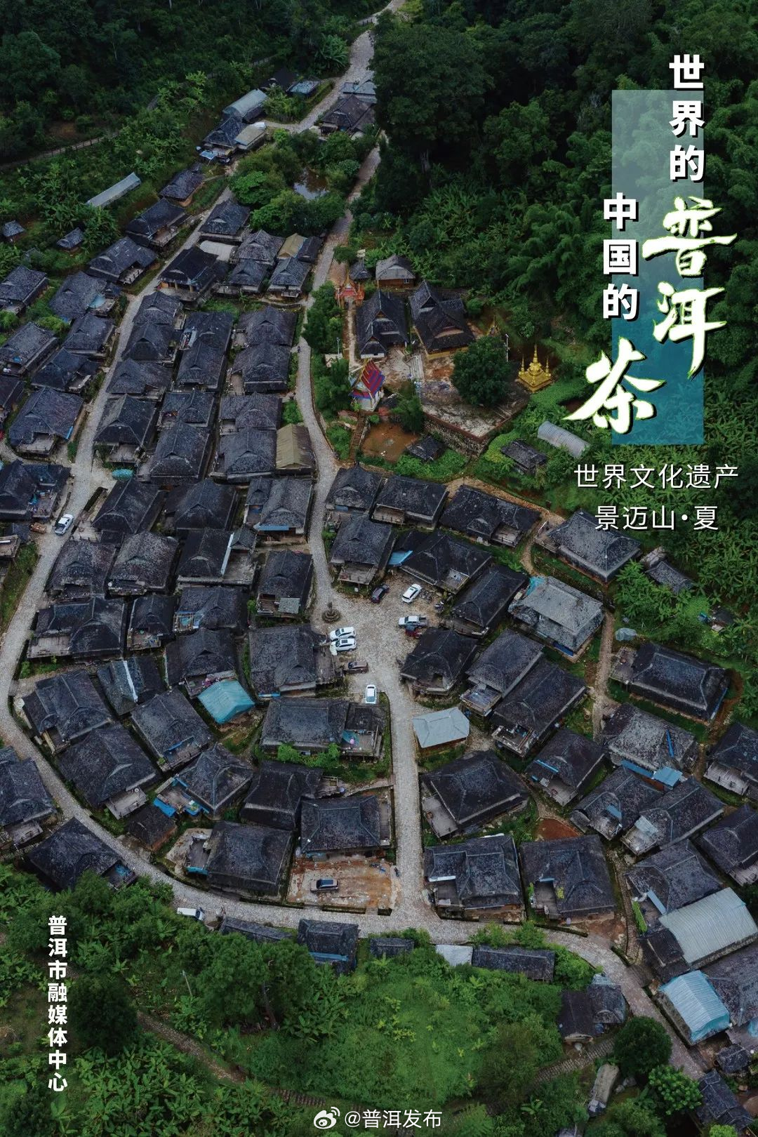 普洱发布