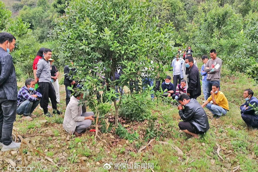 保山新闻网