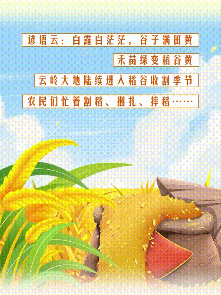 云南省人民政府网