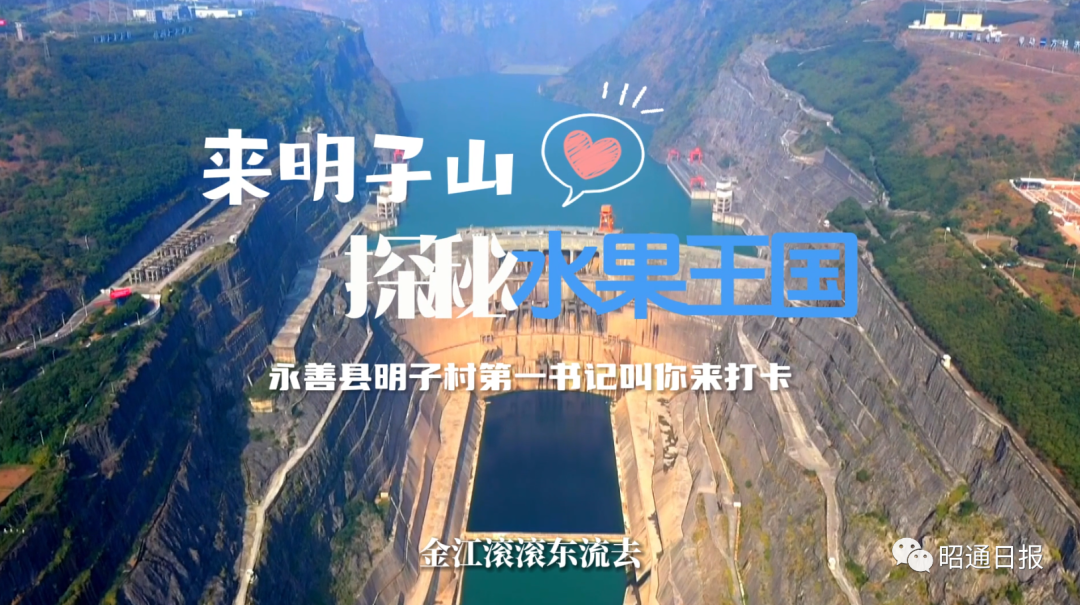 昭通日报