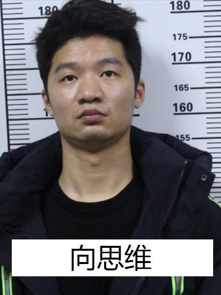 春城晚报