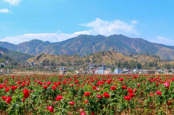 云南省文化和旅游厅