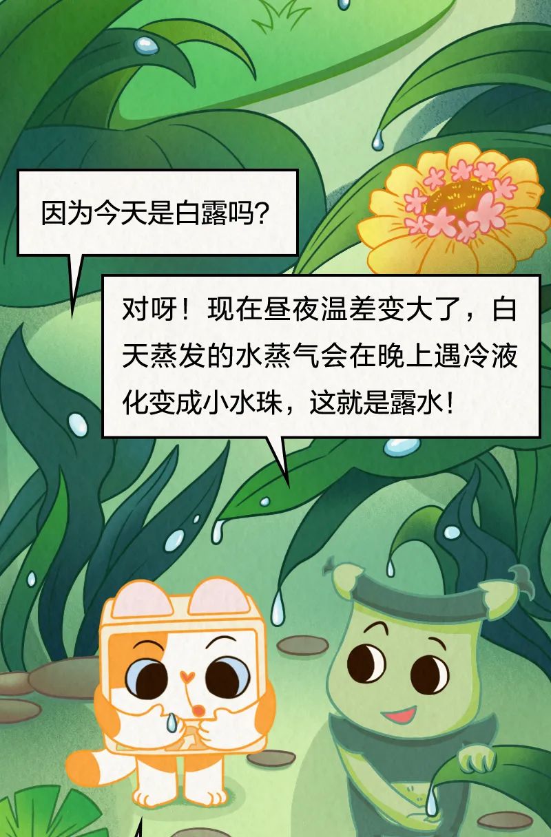 美丽云南微科普