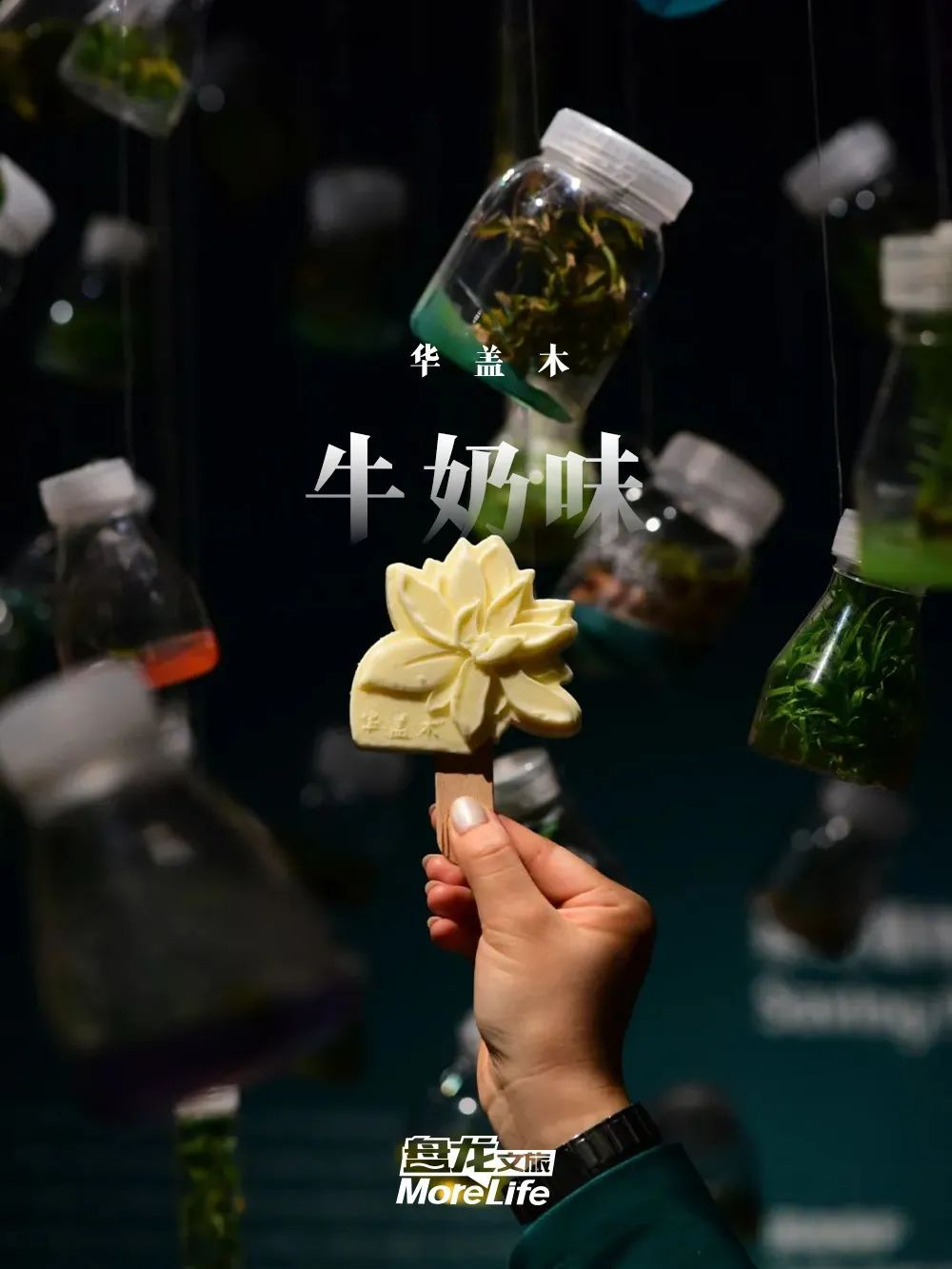 盘龙统战