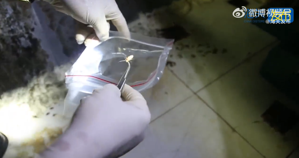 昆明信息港/cnkmxxg