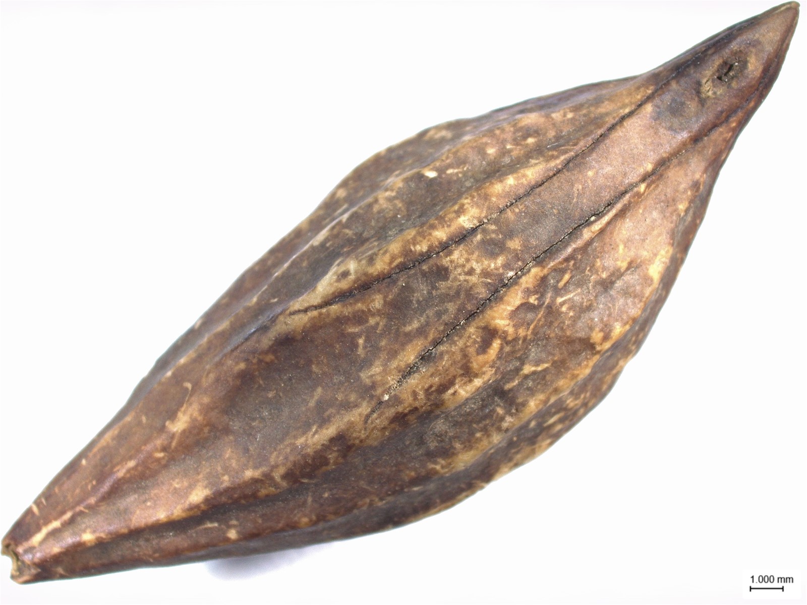 云南省文化和旅游厅