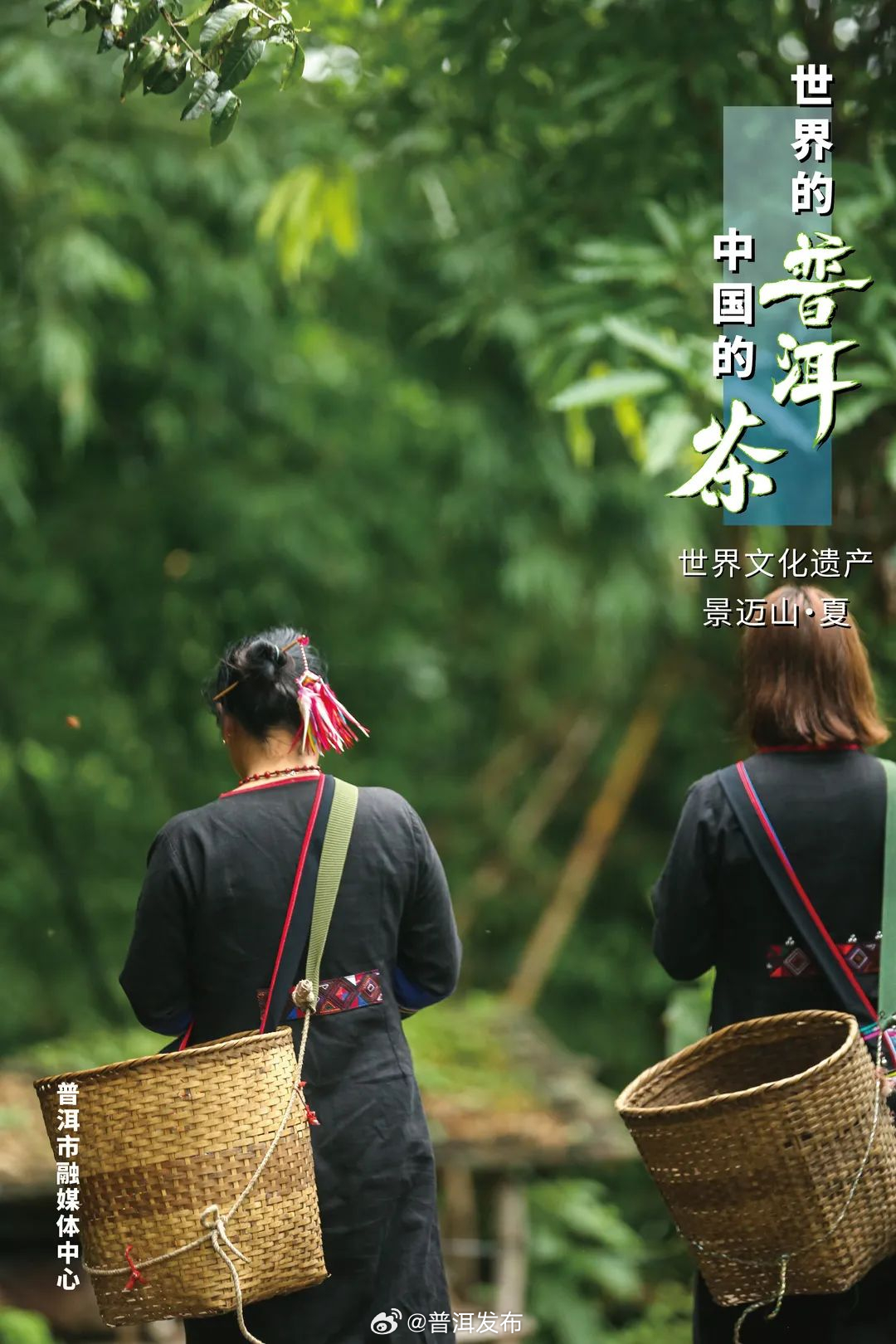 普洱发布