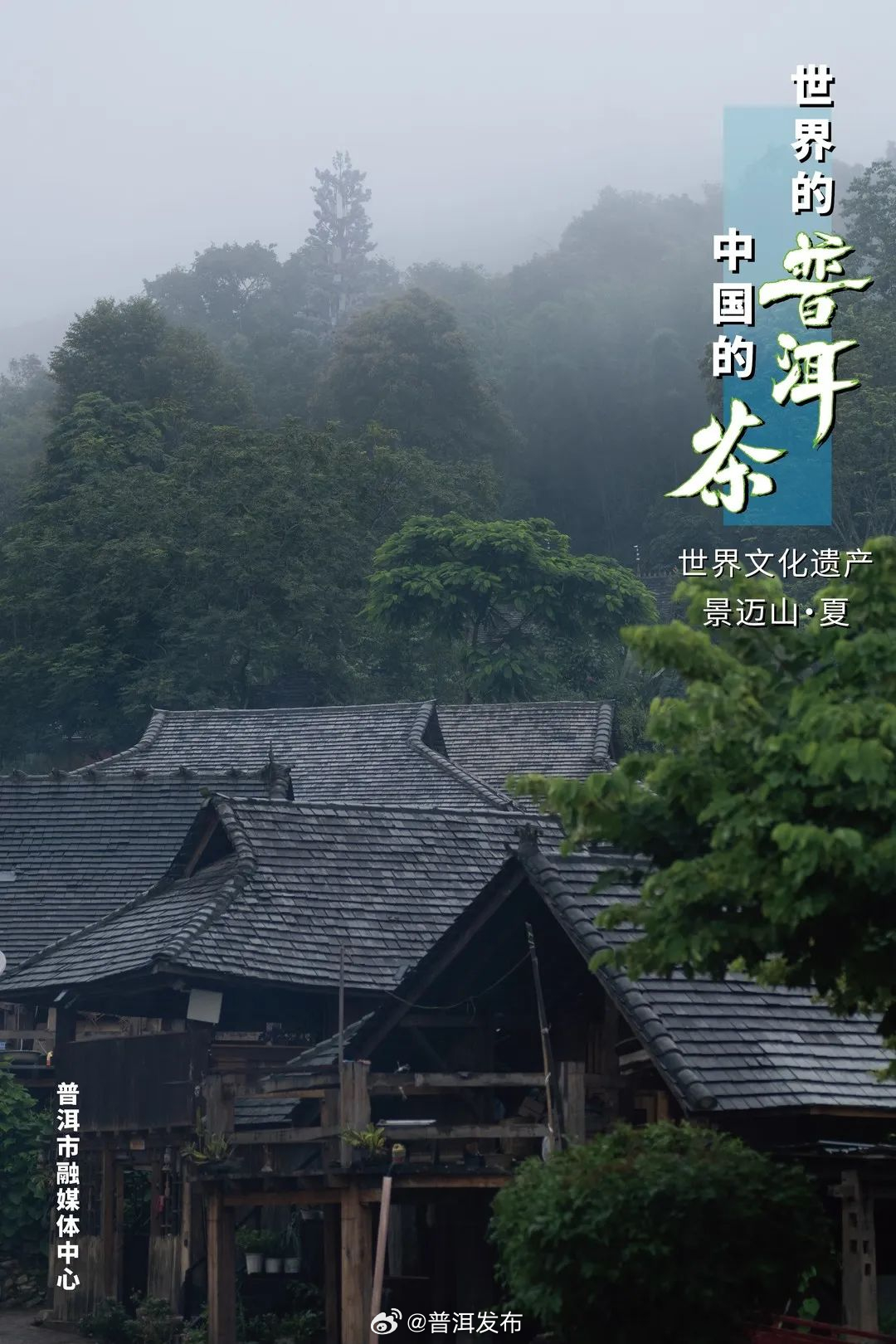 普洱发布