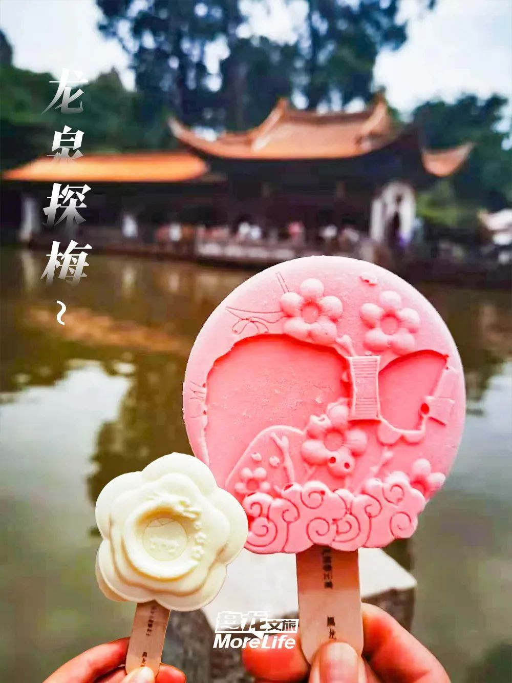 盘龙统战