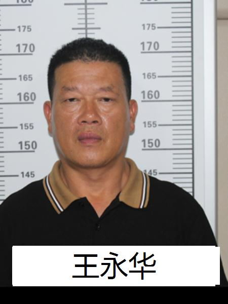 春城晚报