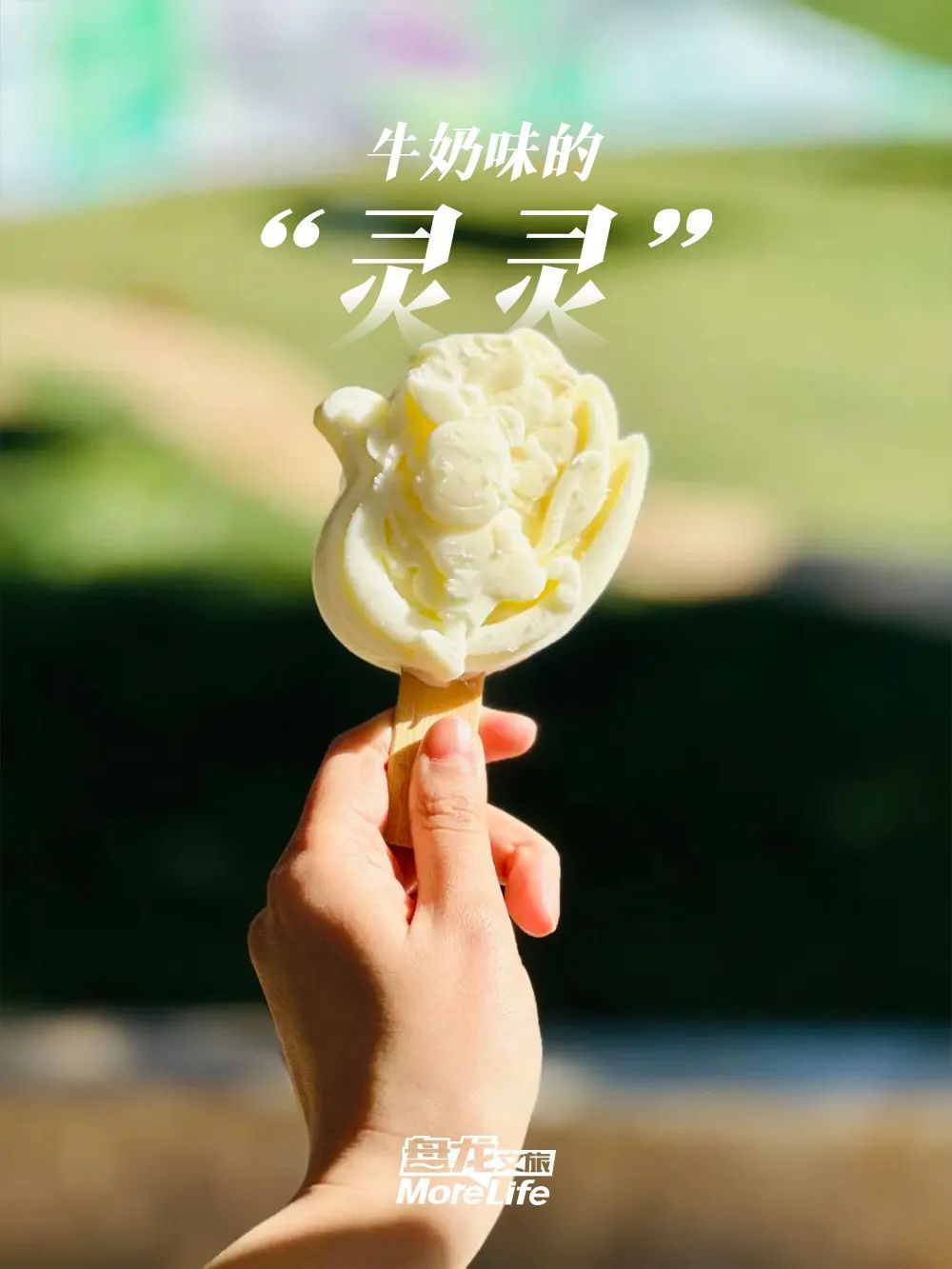 盘龙统战