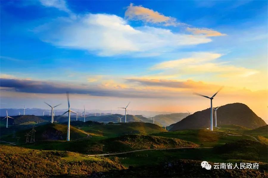 云南省人民政府网