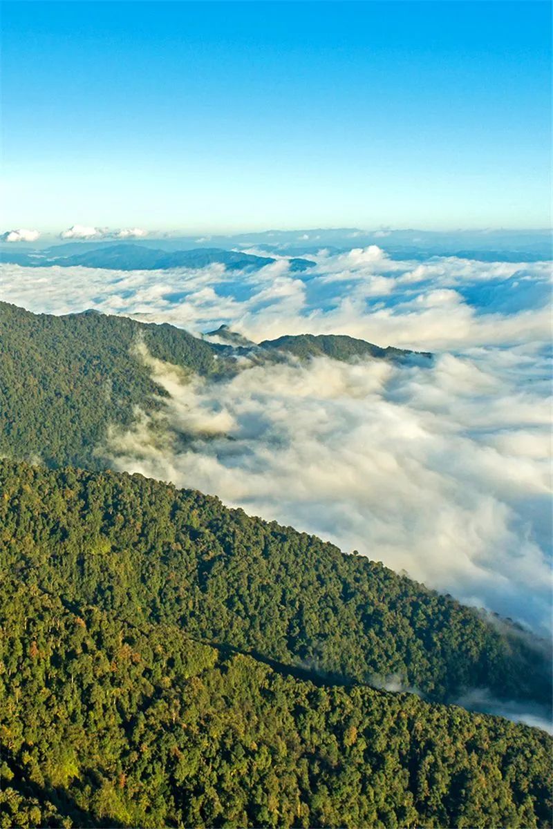 红河文旅