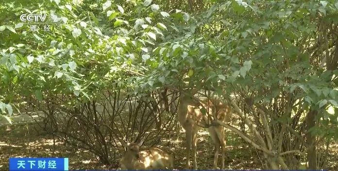 昆明信息港/cnkmxxg