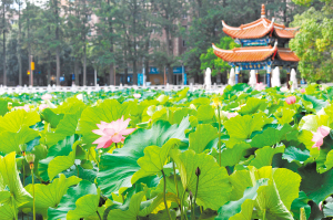 探寻百年人文 翠湖故事荟启动