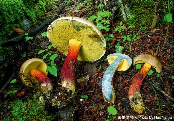 云南省图书馆