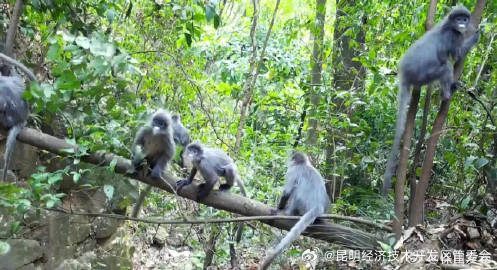 昆明经济技术开发区管委会
