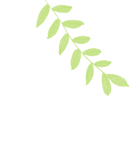 盘龙教育