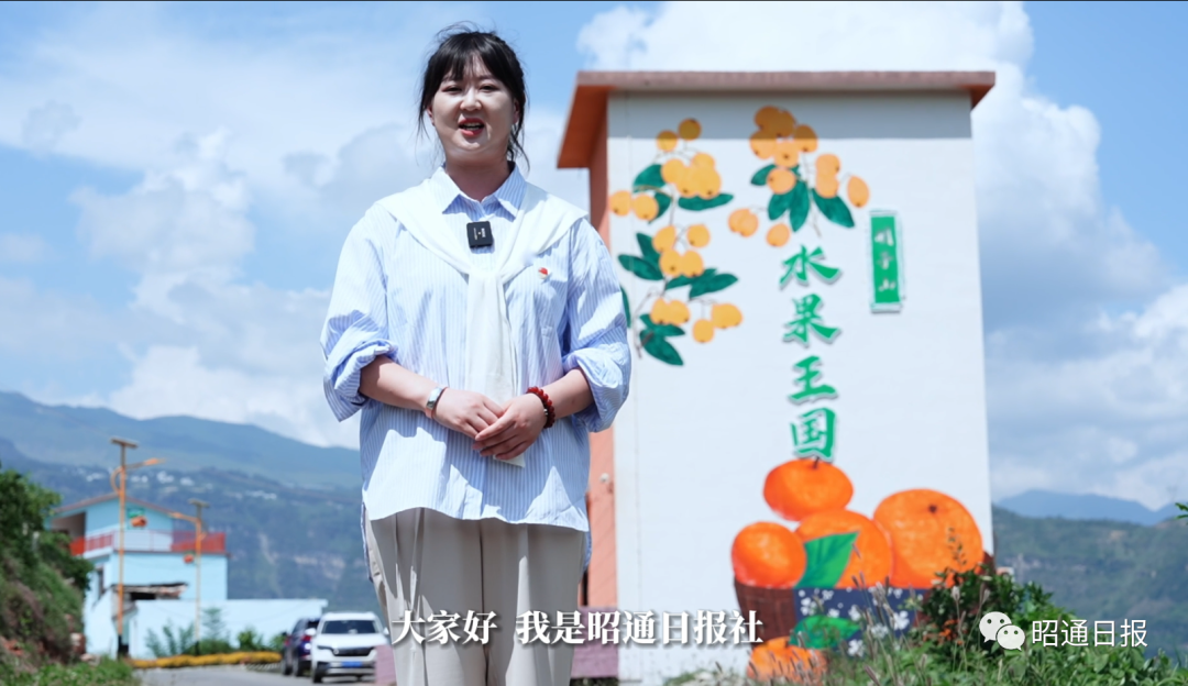 昭通日报
