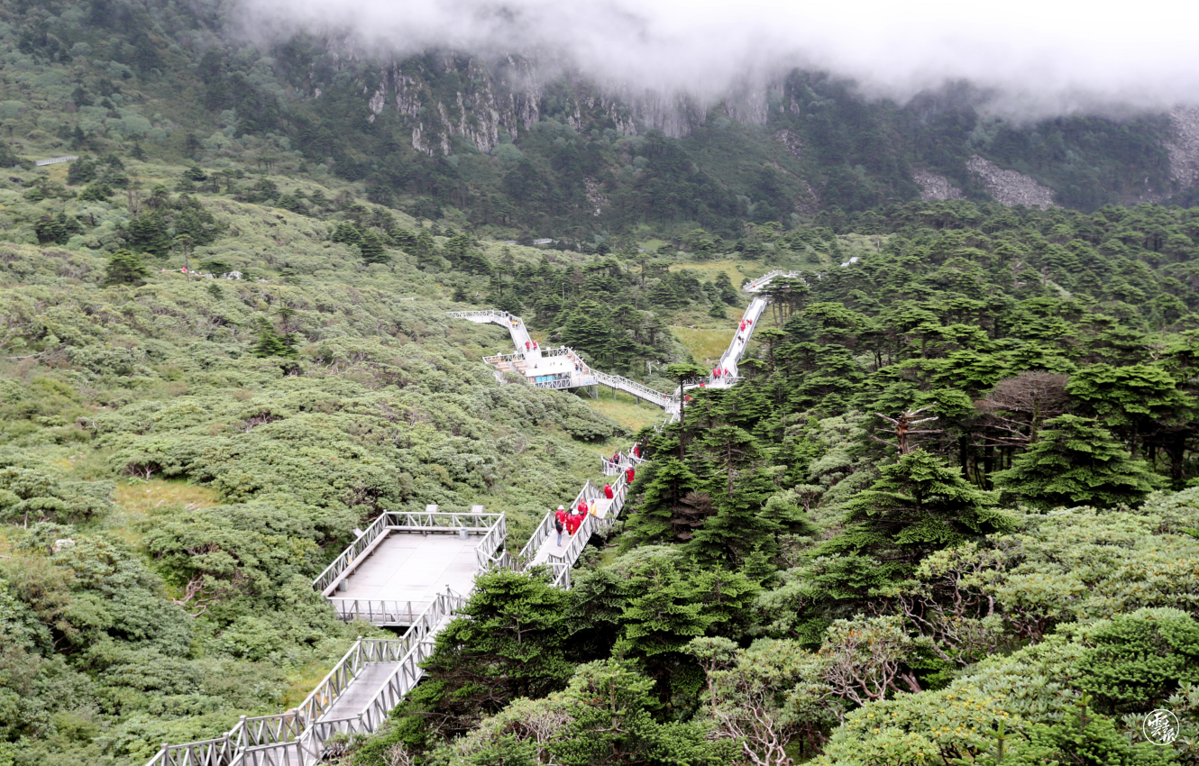 云南省文化和旅游厅