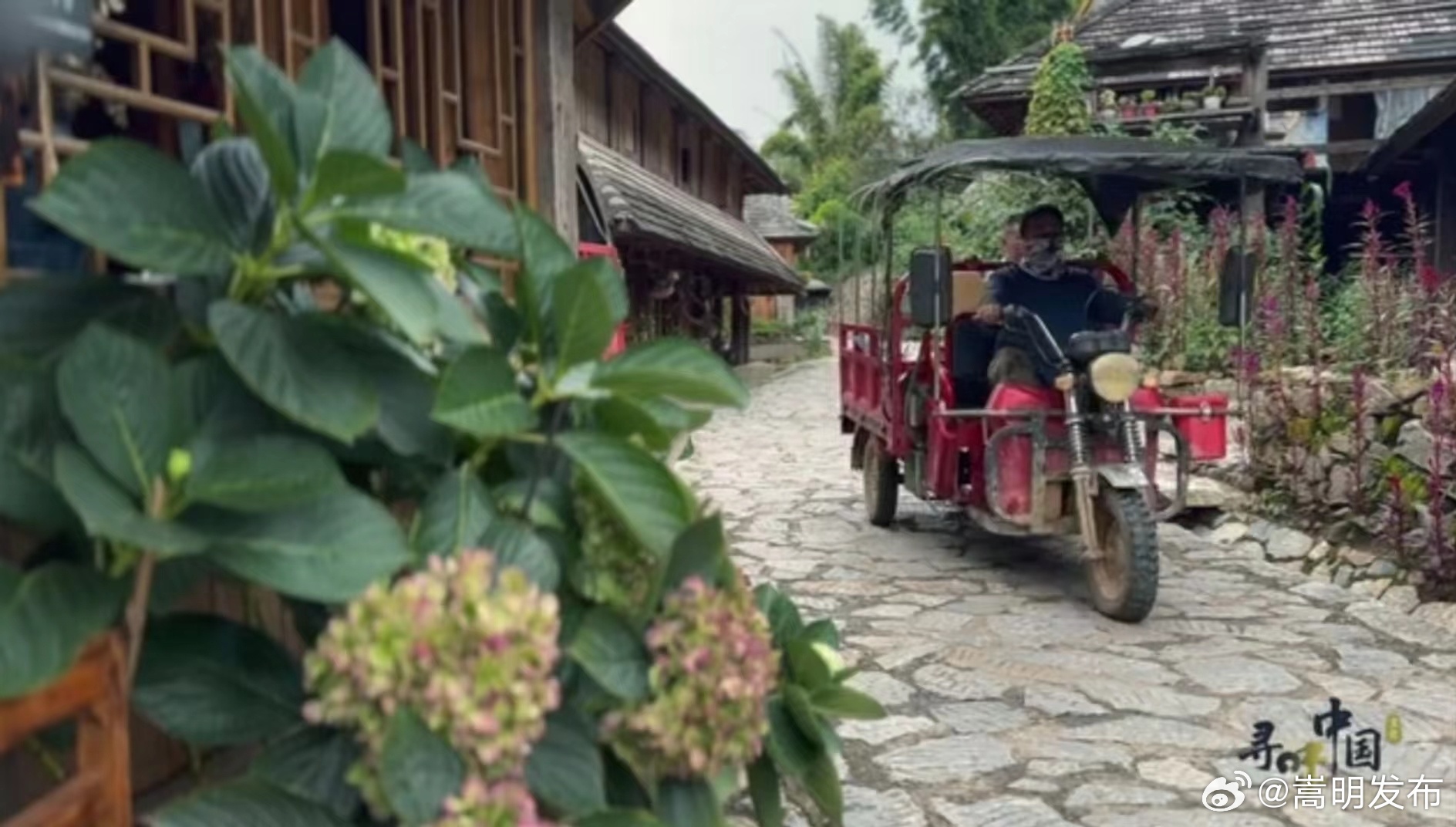寻味中国｜景迈山的古寨有多美？