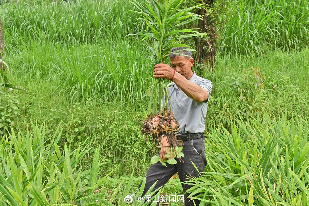 保山新闻网