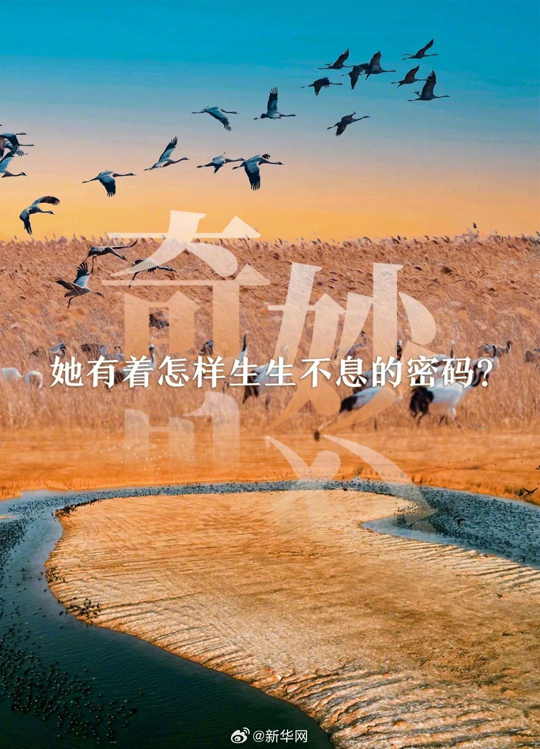 新华网