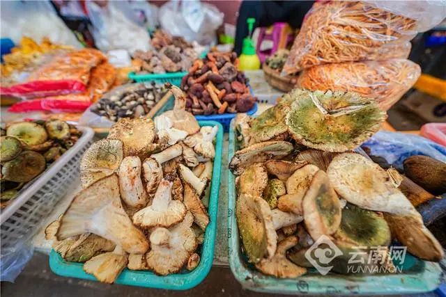 昆明信息港/cnkmxxg