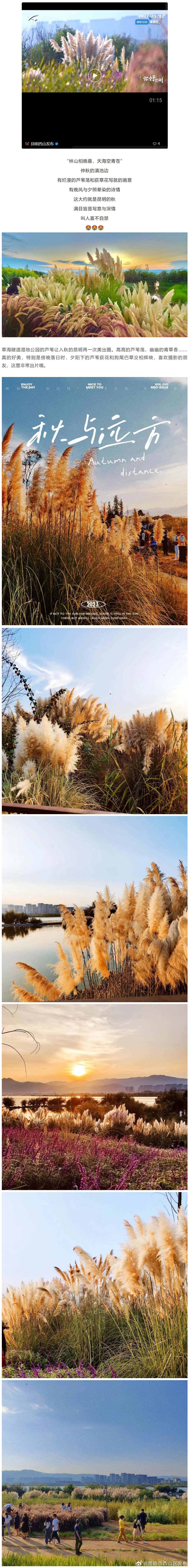 昆明市西山区发布