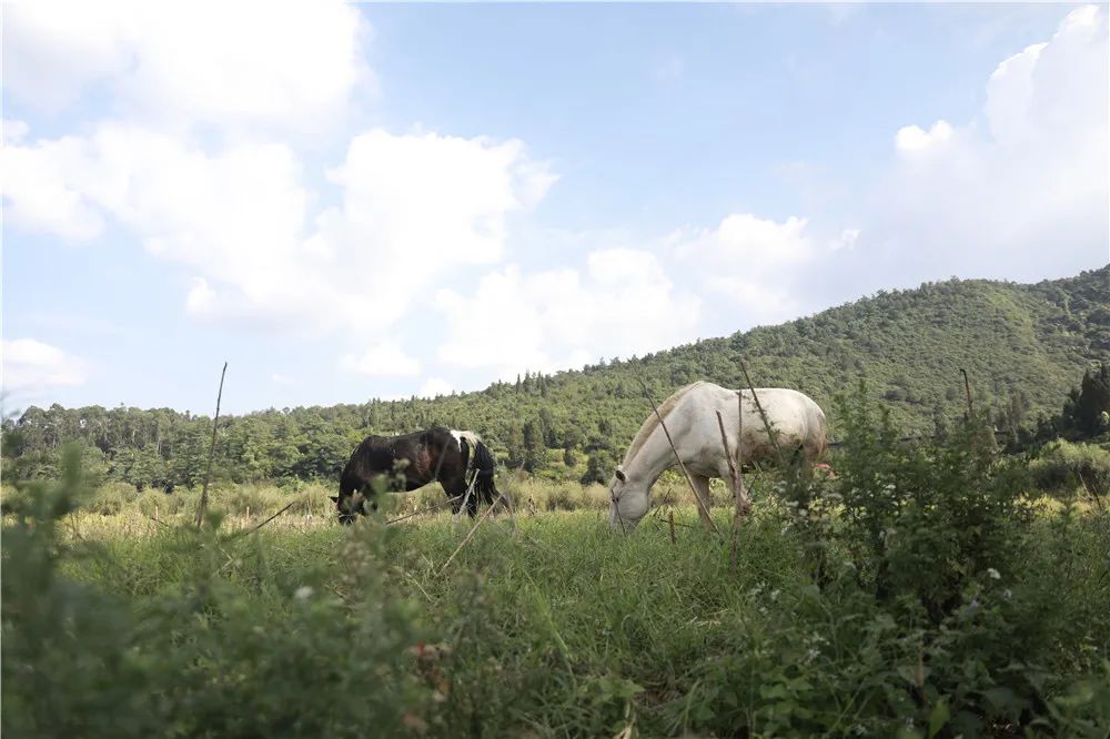 昆明文旅
